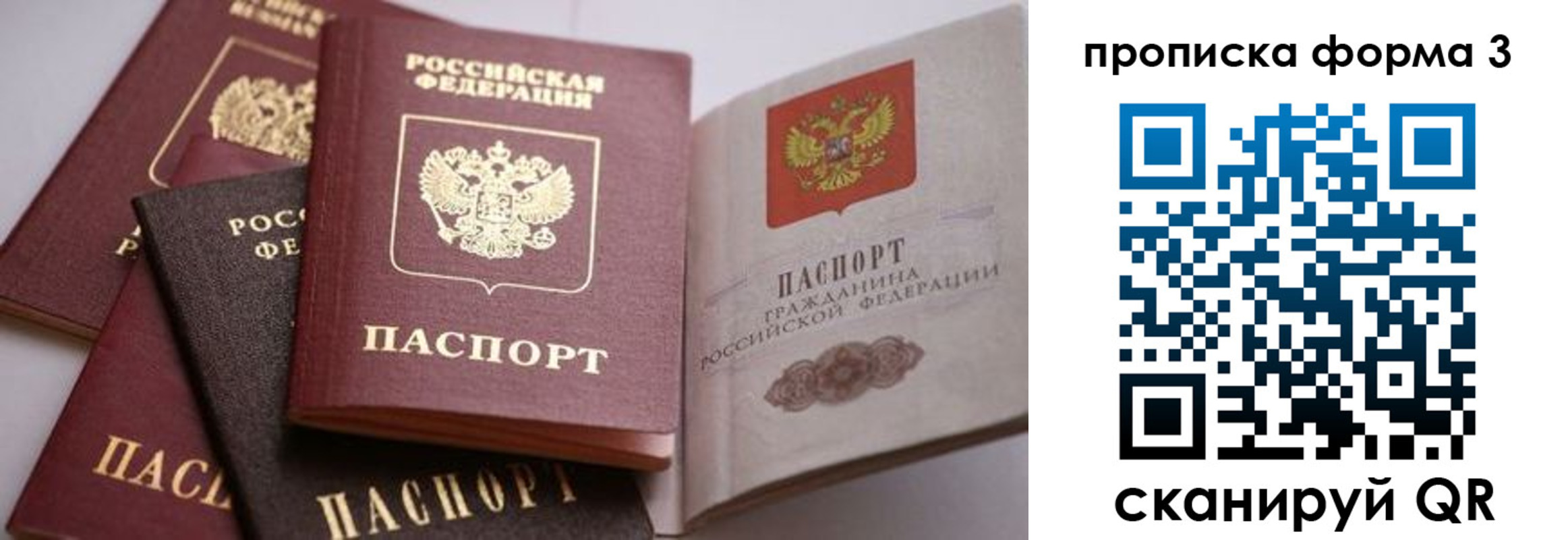 прописка для школы в Гусеве